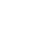 disinfestazione formiche torino